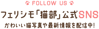 FOLLOW US フェリシモ「猫部」公式SNS かわいい猫写真や最新情報を配信中！