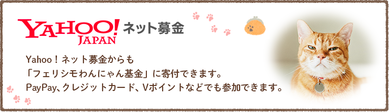 [Yahoo!JAPAN ネット募金] Yahoo！ネット募金からも「フェリシモわんにゃん基金」に寄付できます。PayPay、クレジットカード、Vポイントなどでも募金していただけます。